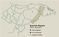 Scarlet Macaw Distribution Map